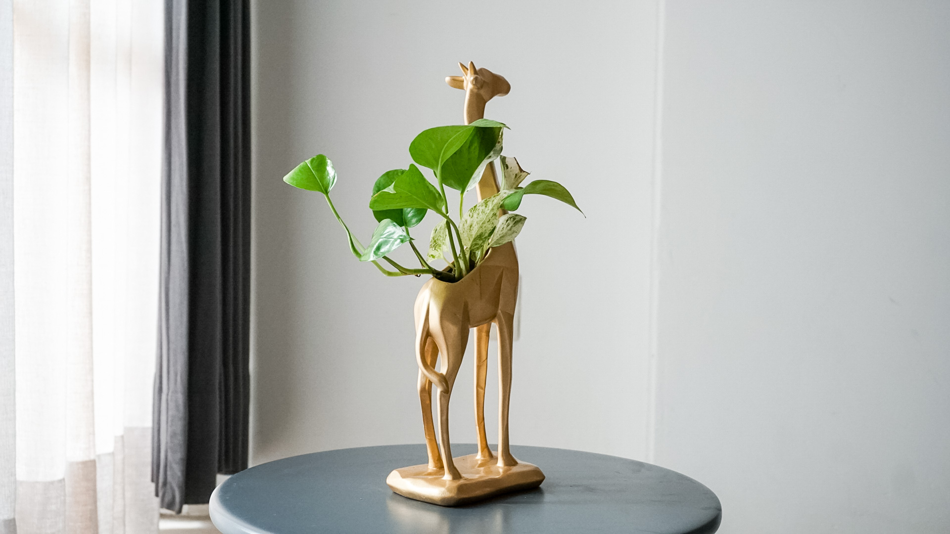 pict20201028_161232_0