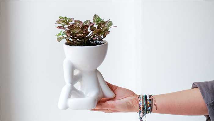 pict20201105_115418_0_1