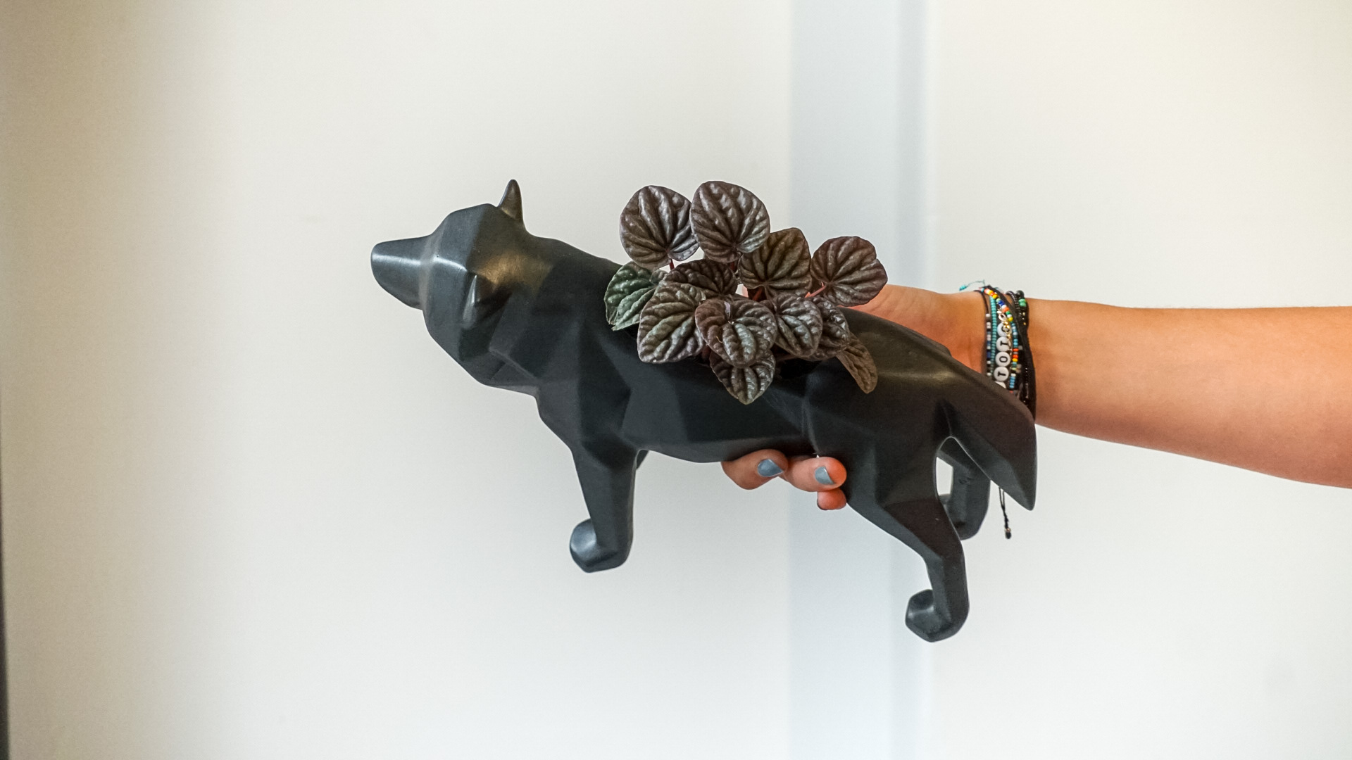 pict20201211_181555_0