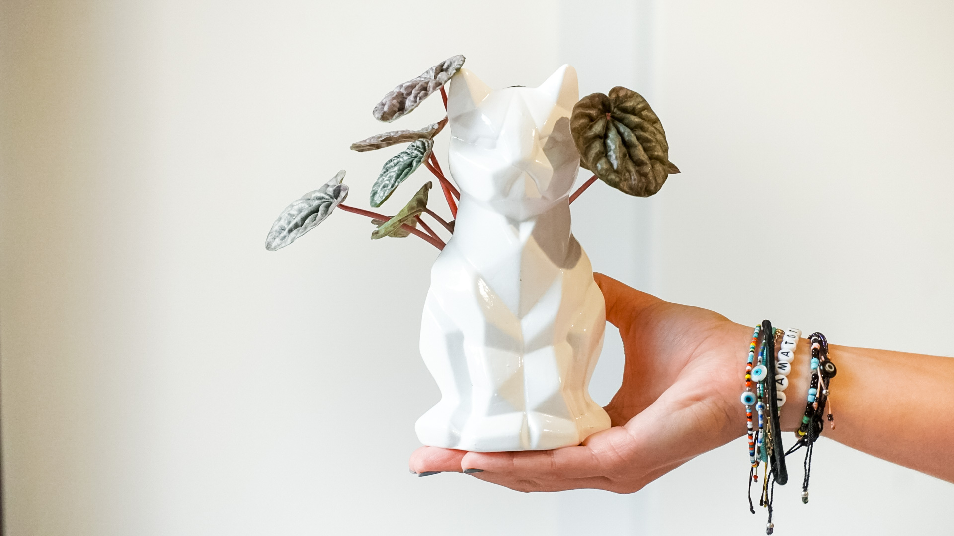 pict20201211_181653_0