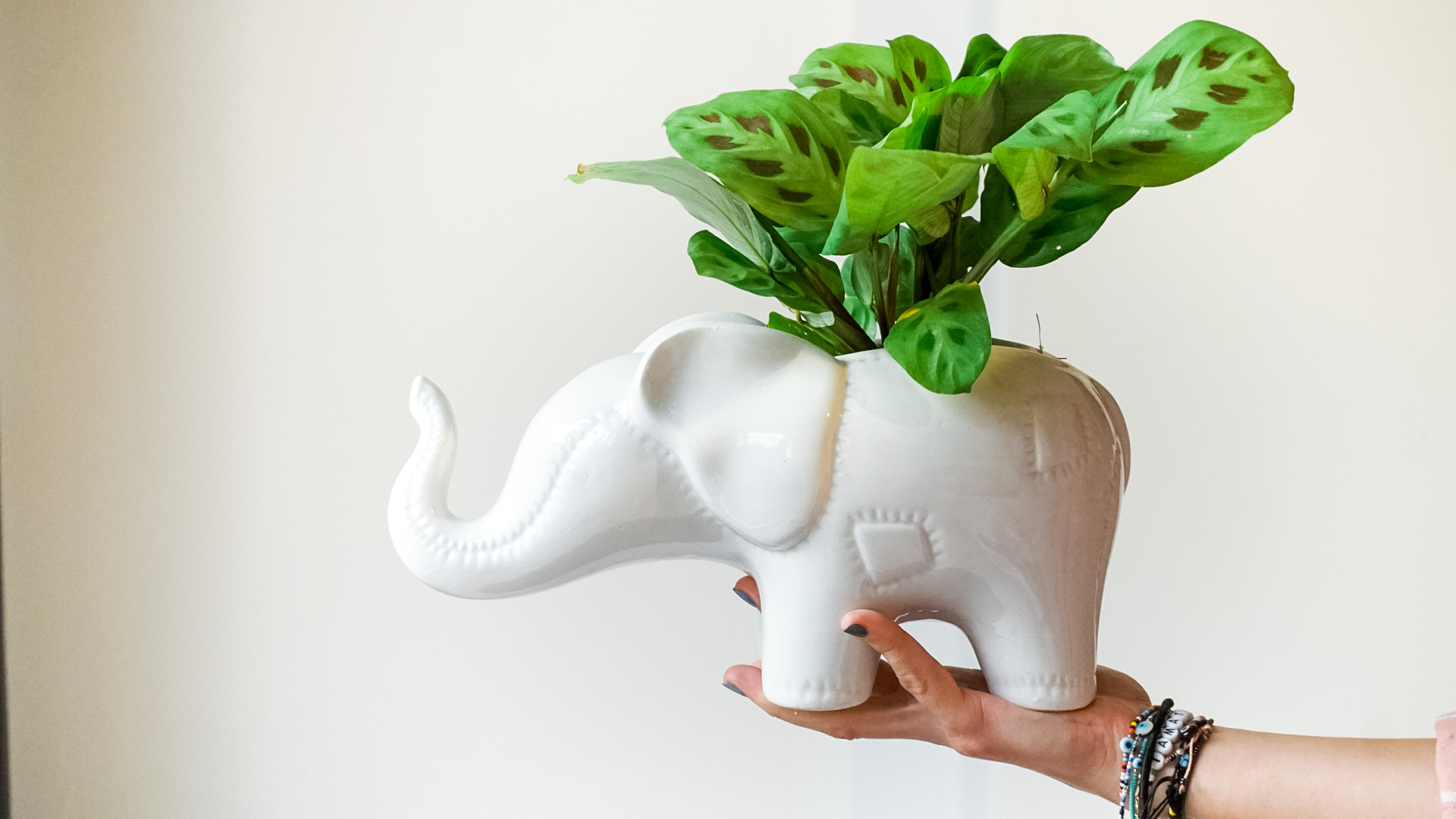 pict20201211_181730_0