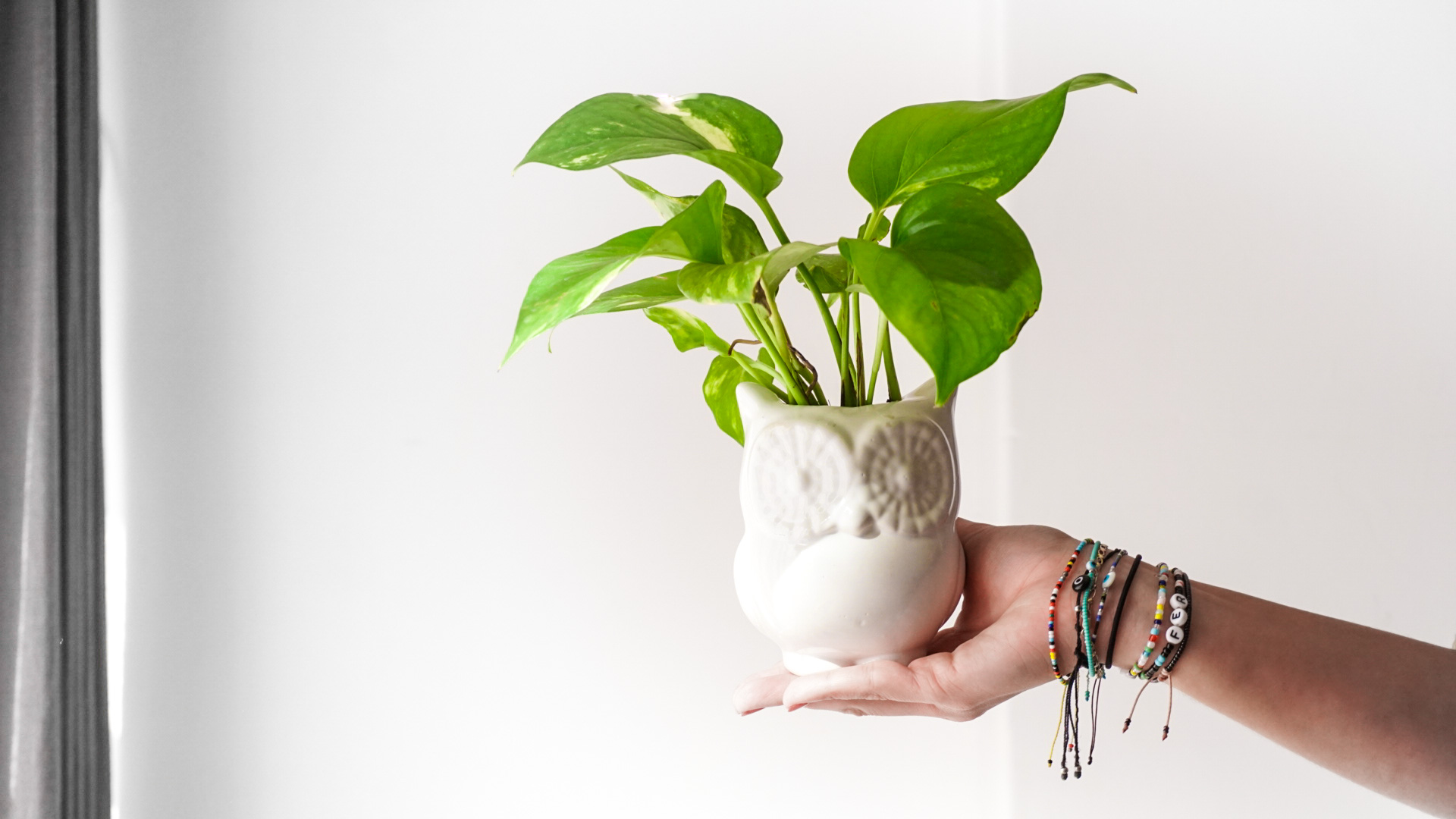 pict20201229_154855_0