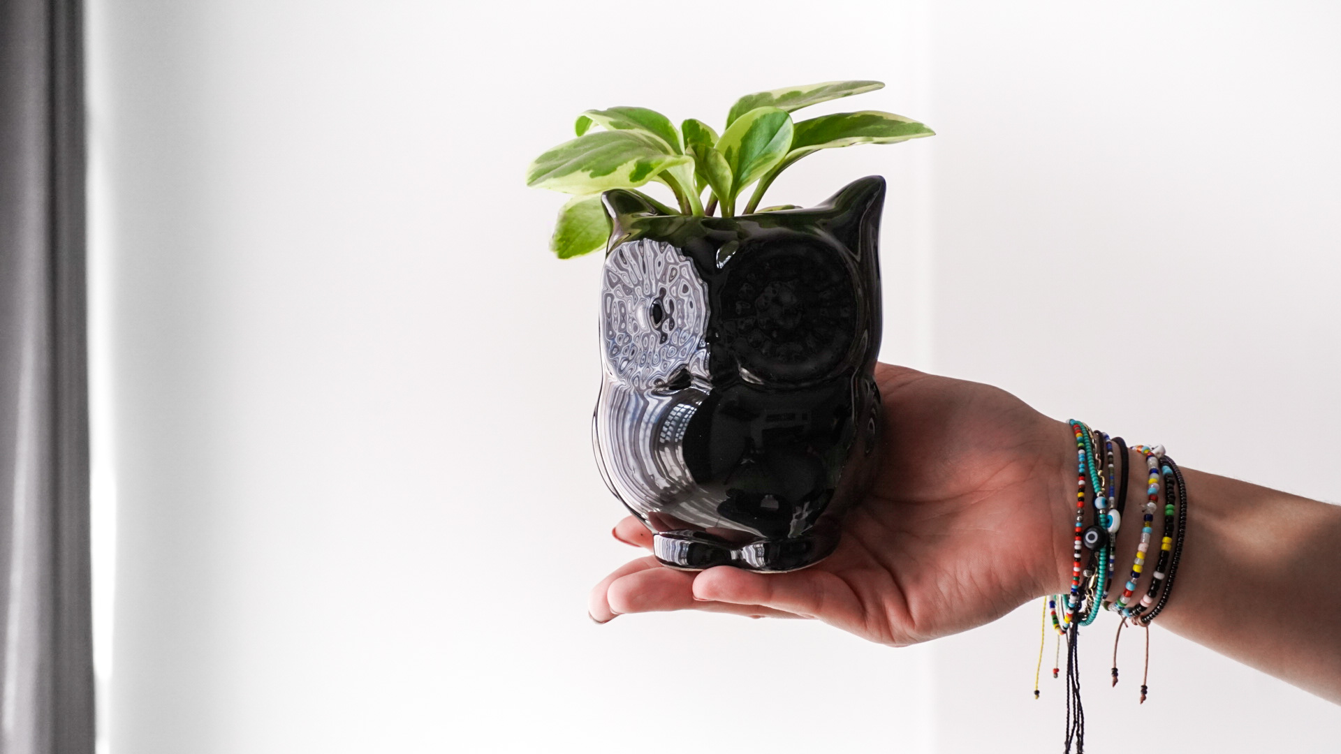 pict20201229_154955_0