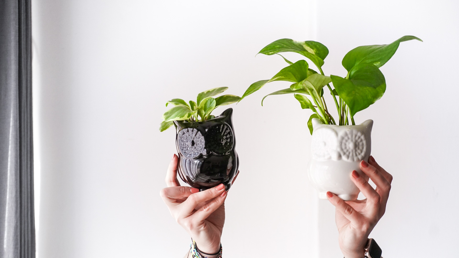 pict20201229_155040_0