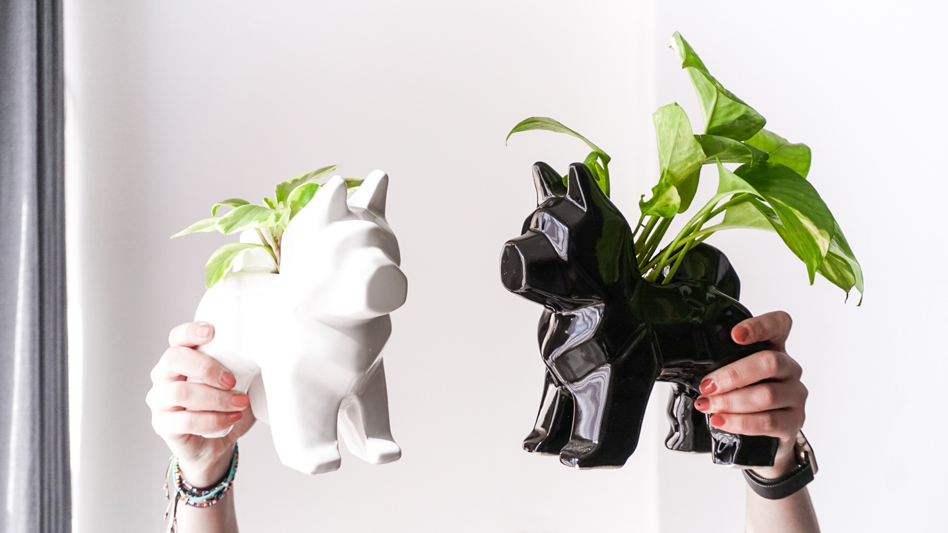 pict20201229_155325_0