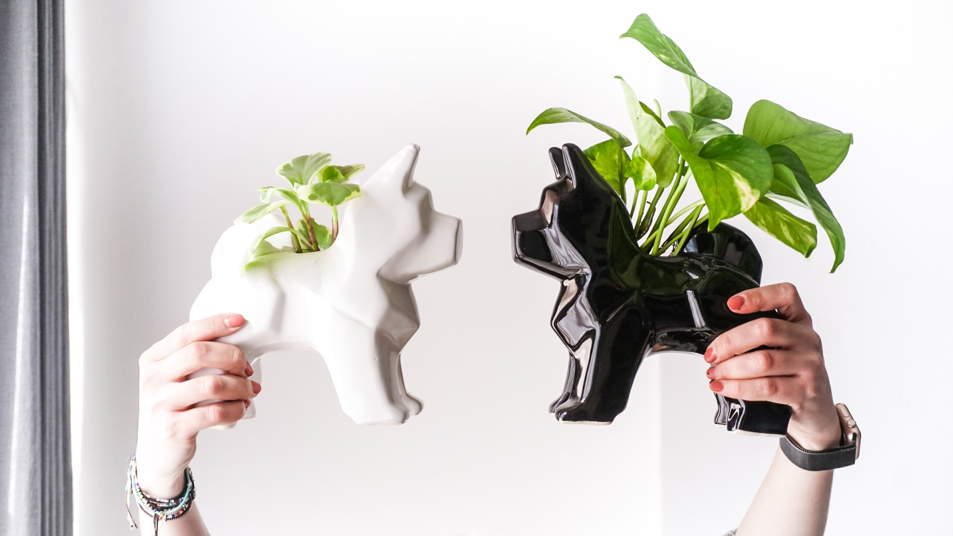 pict20201229_155338_0