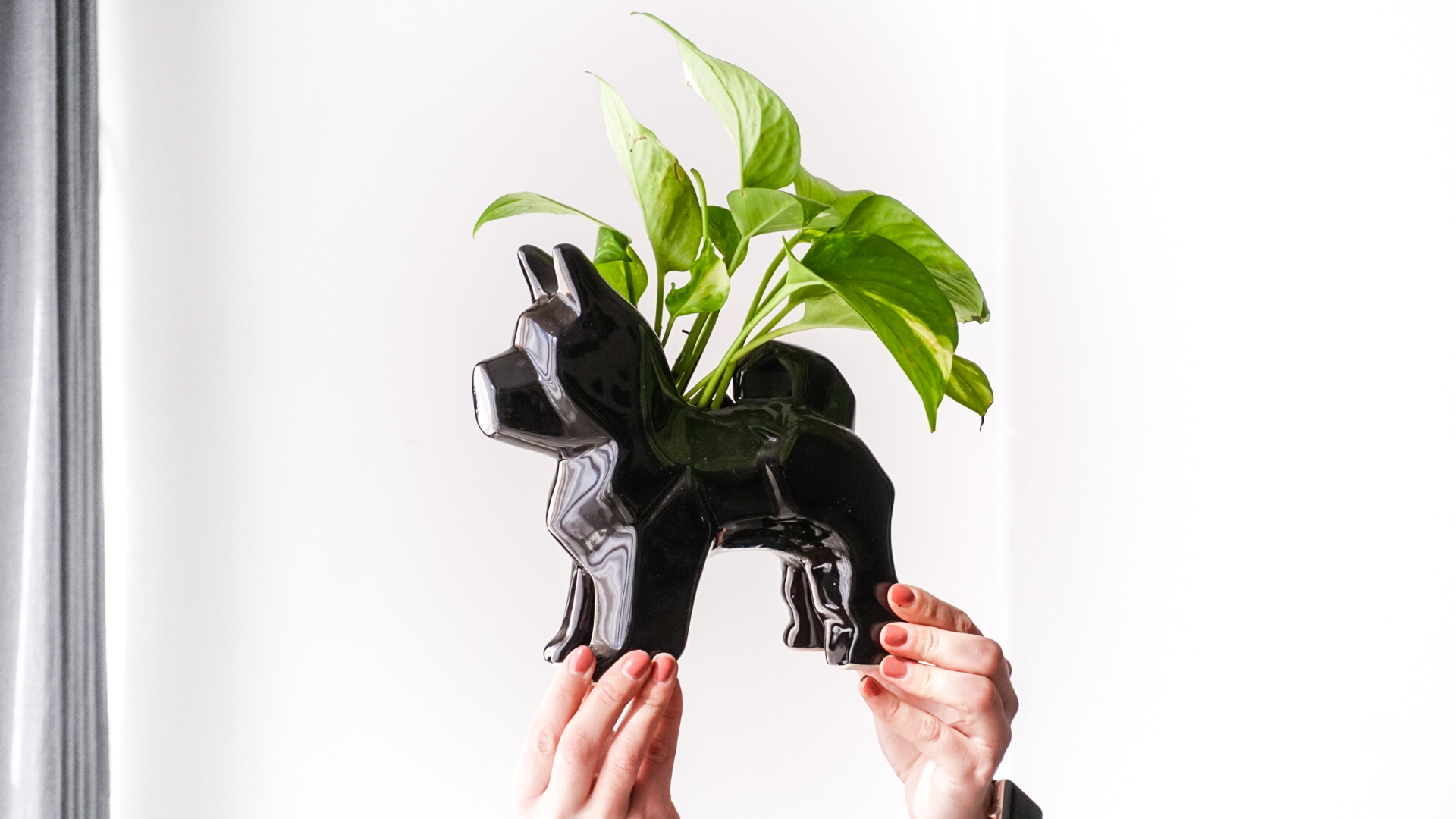 pict20201229_155415_0