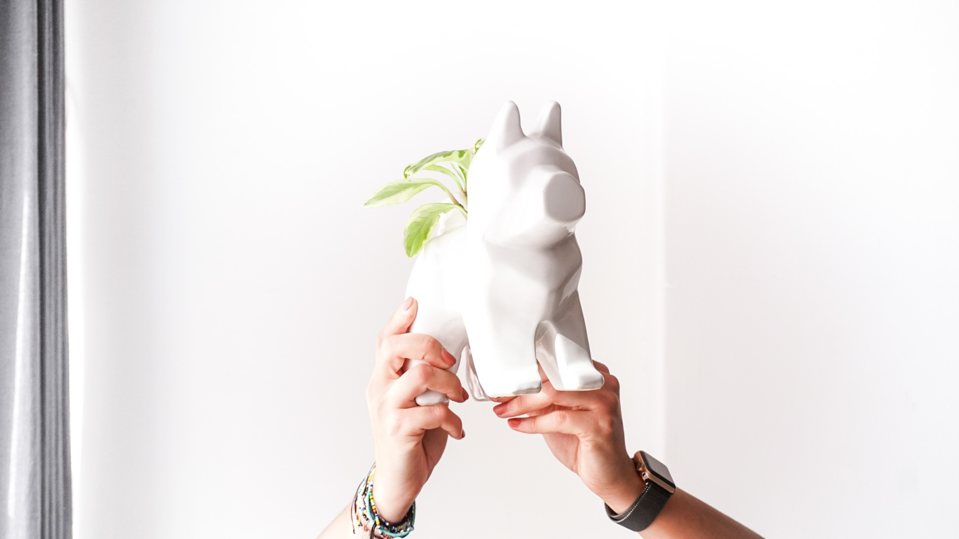 pict20201229_155437_0