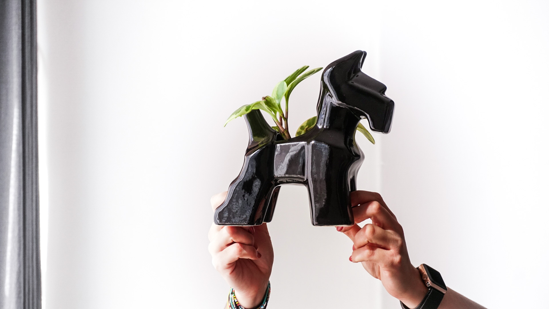 pict20201229_155629_0