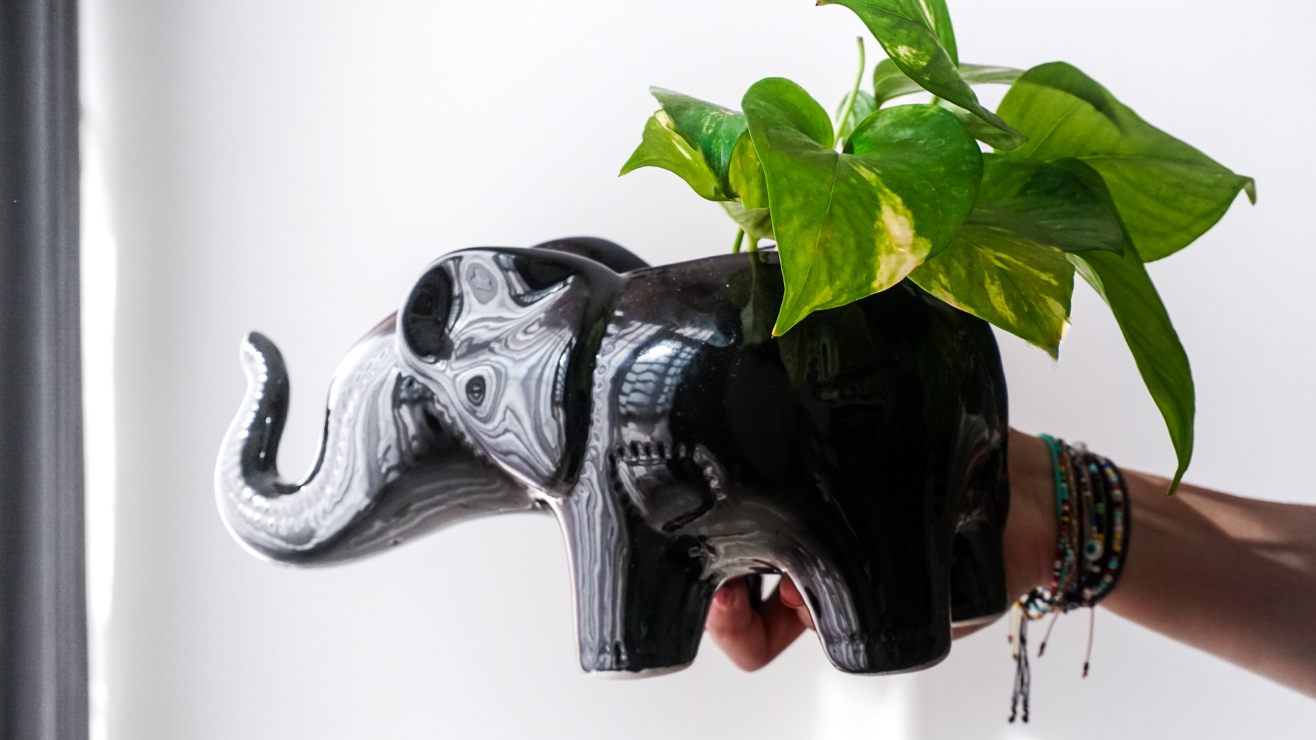 pict20201229_161502_0