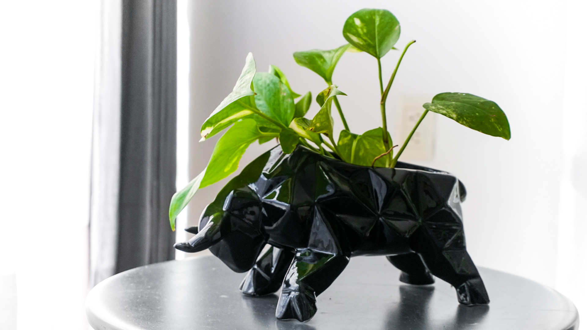 pict20201229_165801_0