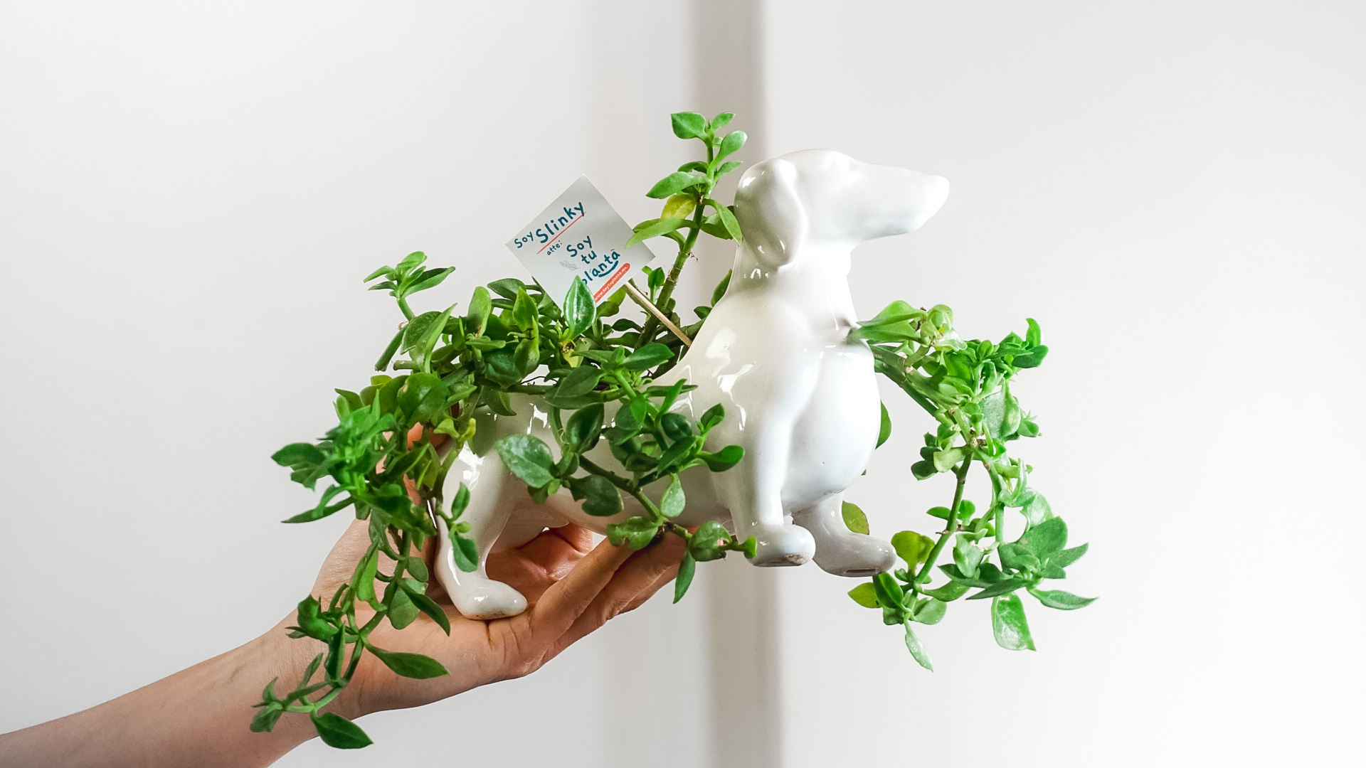 pict20221111_181224_0