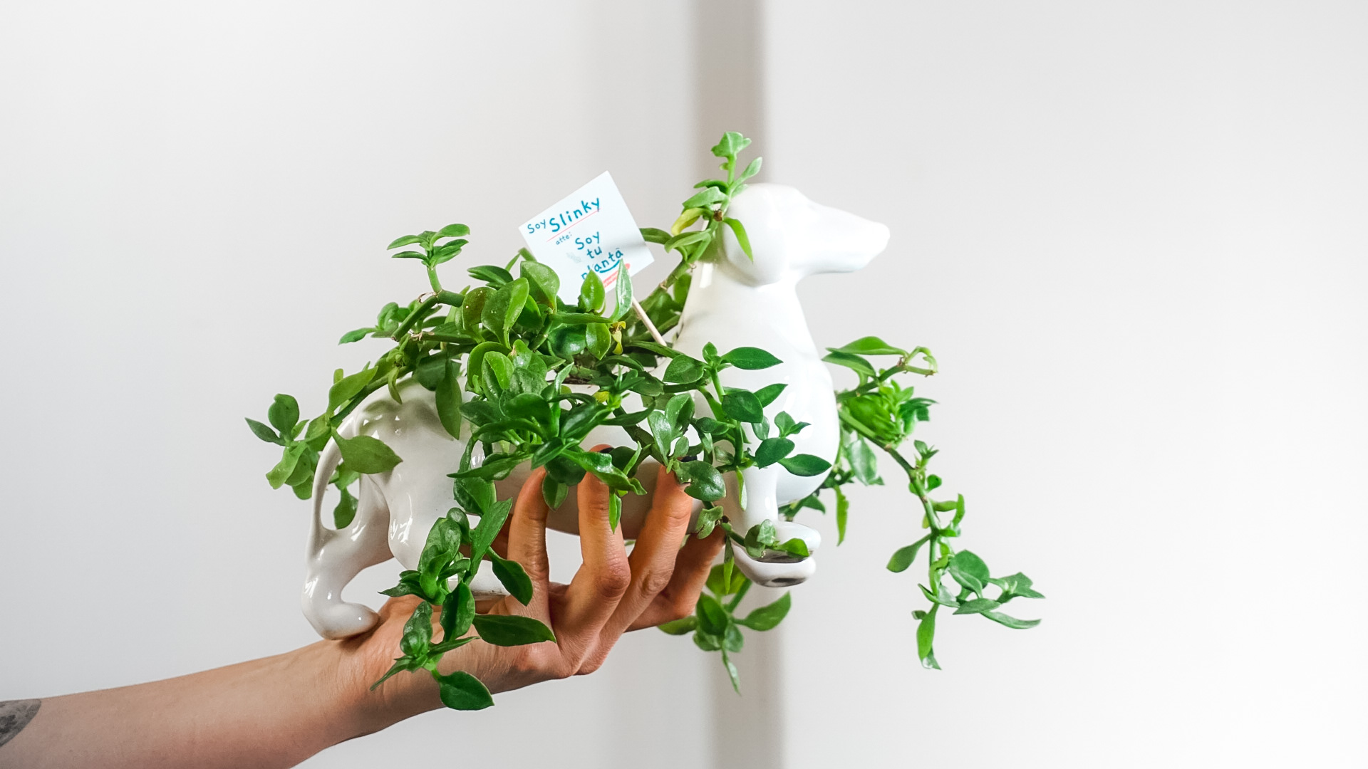 pict20221111_181254_0