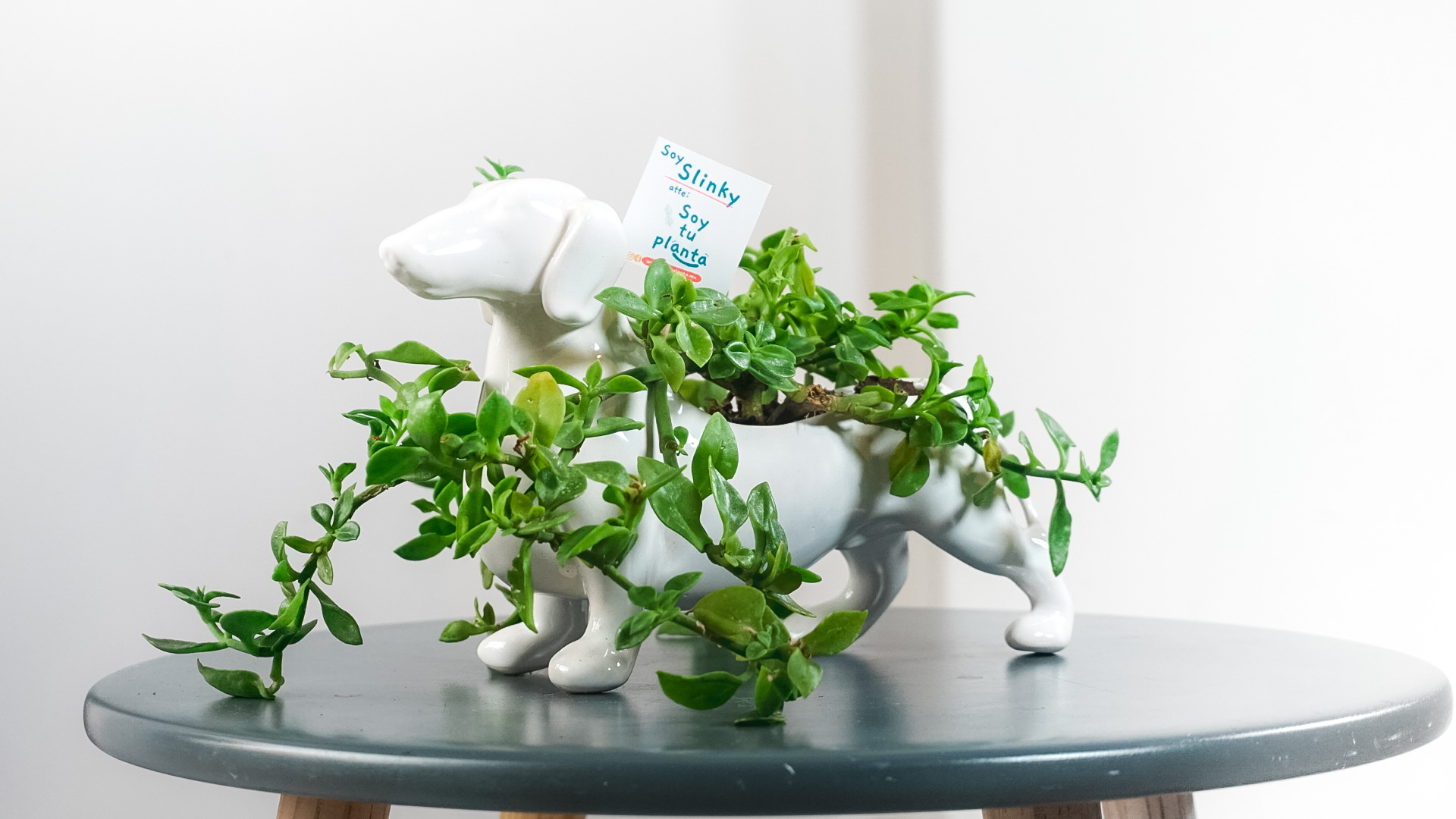 pict20221111_181430_0